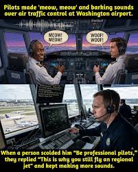 వైరల్:గాలిలో పైలట్ల వింత చేష్టలు!